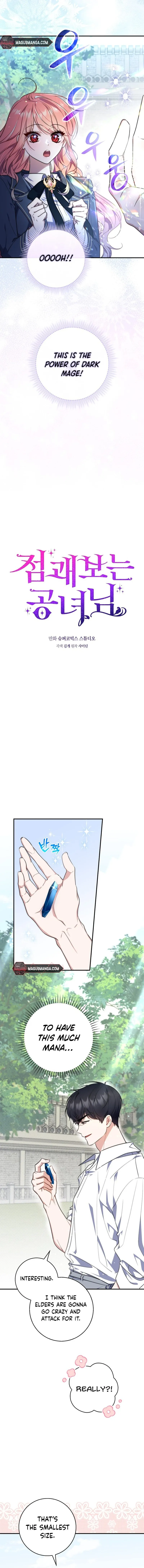 Read A Fortune Telling Princess Manga Online