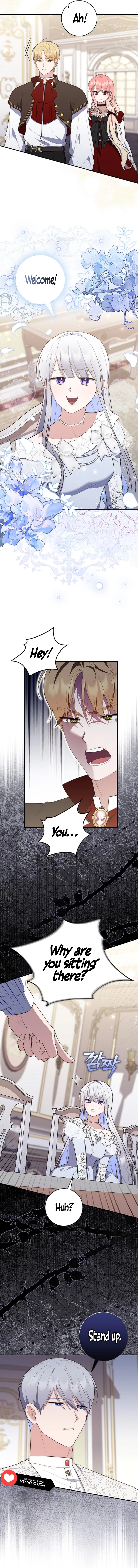 Read A Fortune Telling Princess Manga Online