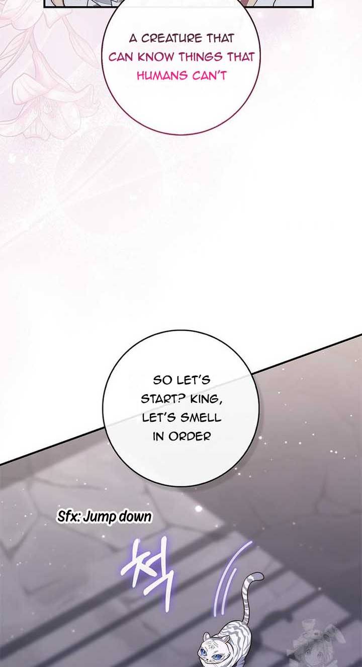 Read A Fortune Telling Princess Manga Online