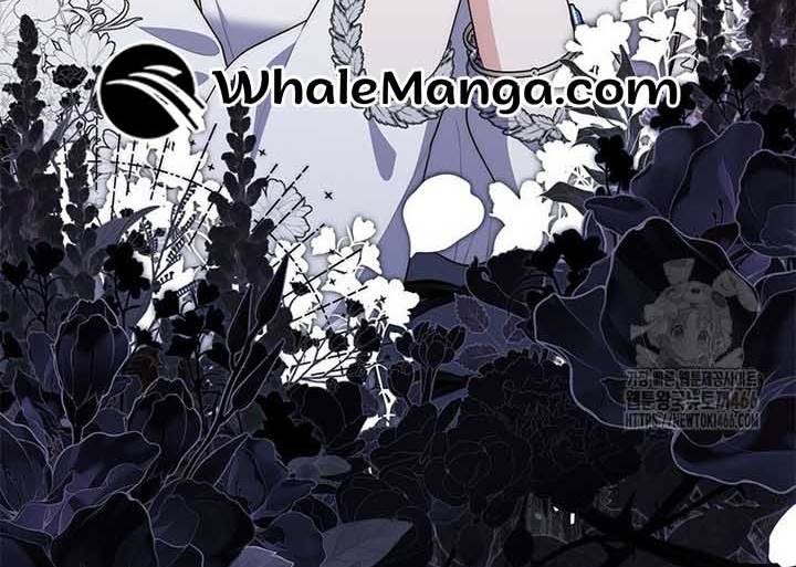 Read A Fortune Telling Princess Manga Online