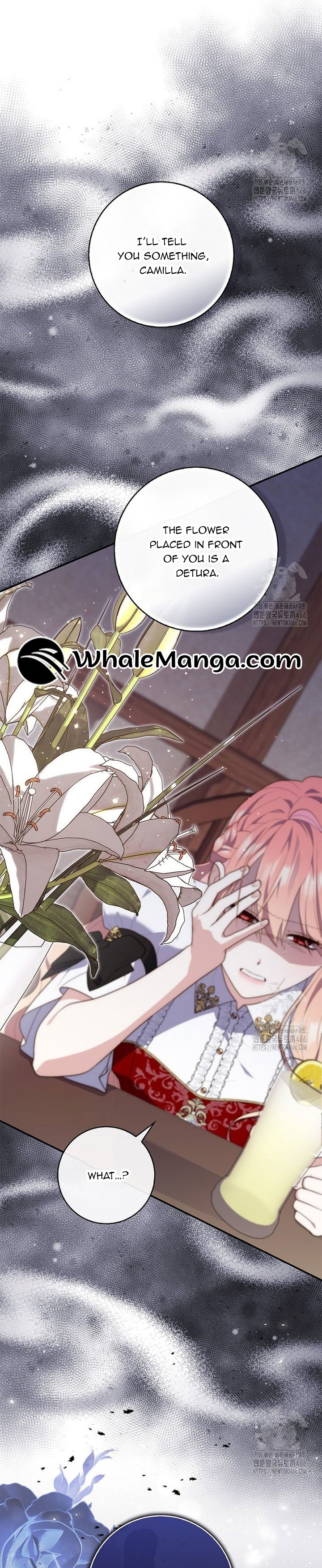 Read A Fortune Telling Princess Manga Online