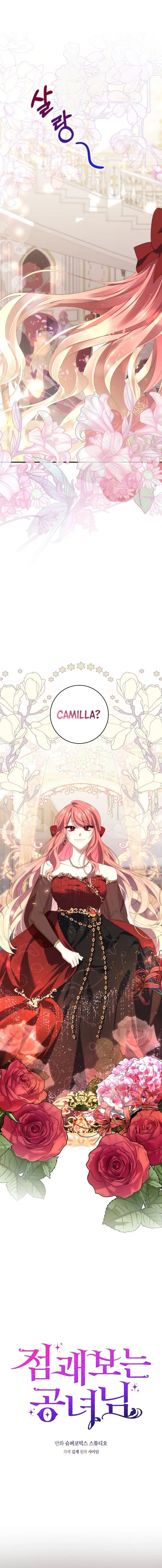 Read A Fortune Telling Princess Manga Online