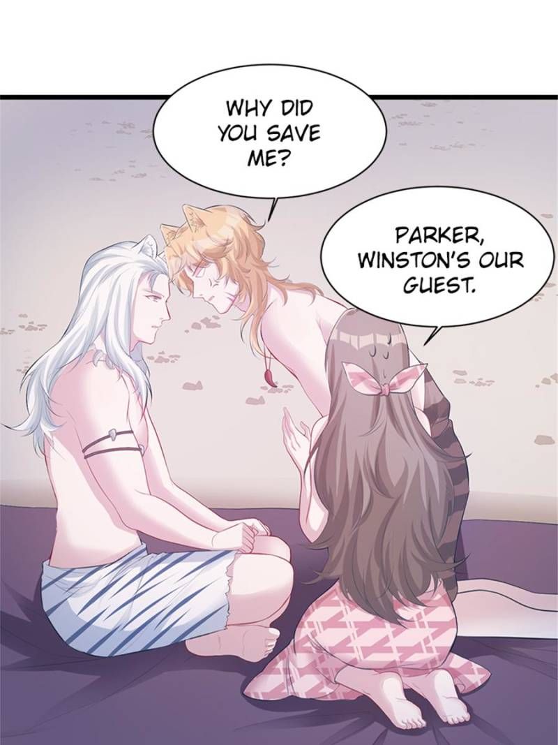 Read Beauty and the Beasts Manga Online