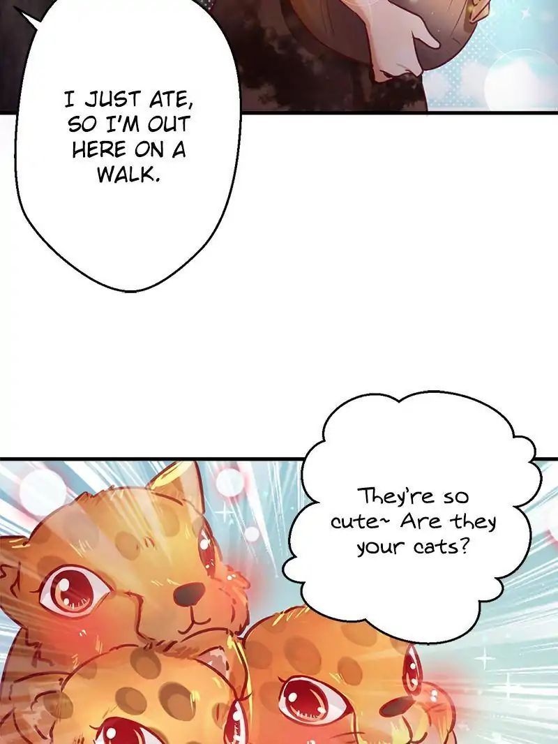 Read Beauty and the Beasts Manga Online