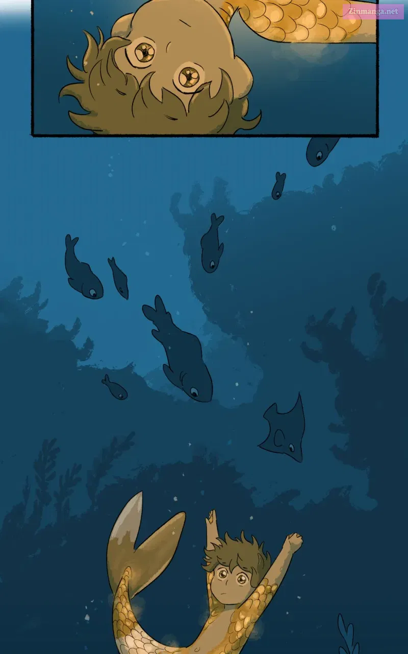 Read Castle Swimmer Manga Online
