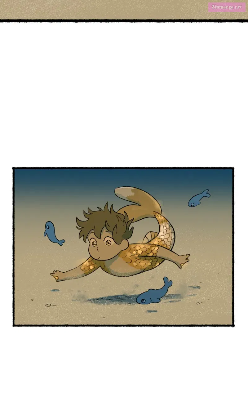 Read Castle Swimmer Manga Online