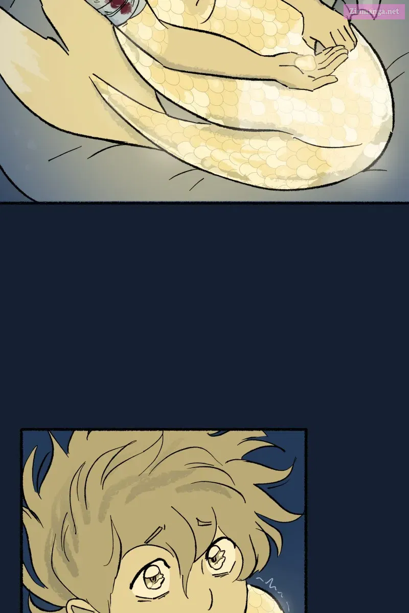 Read Castle Swimmer Manga Online