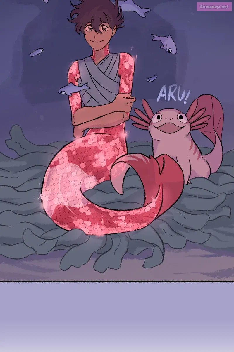 Read Castle Swimmer Manga Online