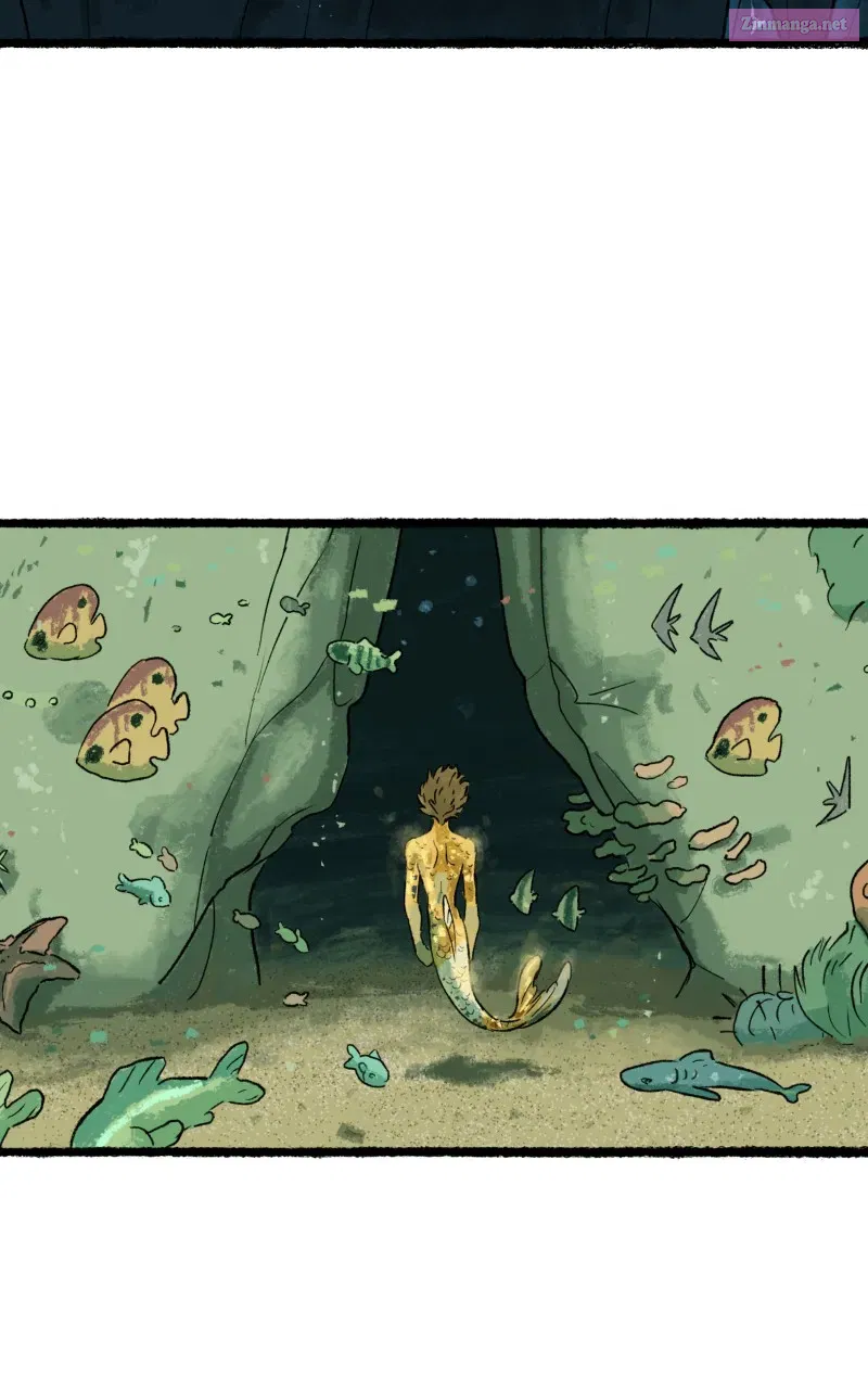 Read Castle Swimmer Manga Online
