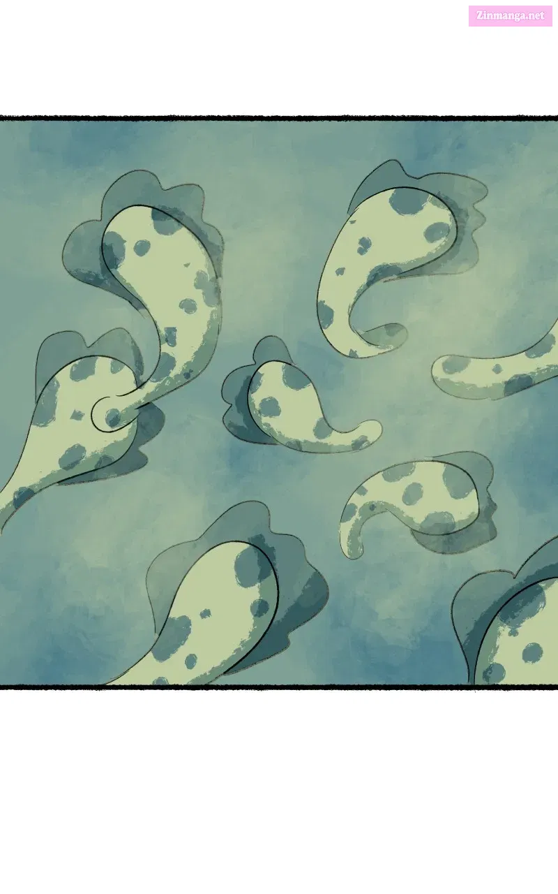 Read Castle Swimmer Manga Online