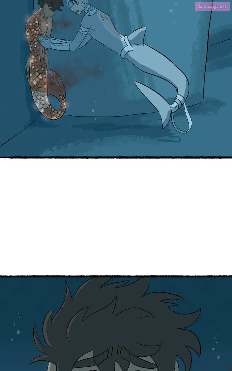 Read Castle Swimmer Manga Online