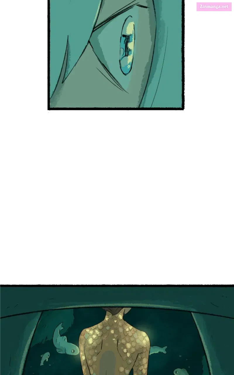 Read Castle Swimmer Manga Online