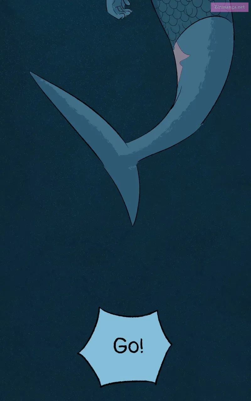 Read Castle Swimmer Manga Online