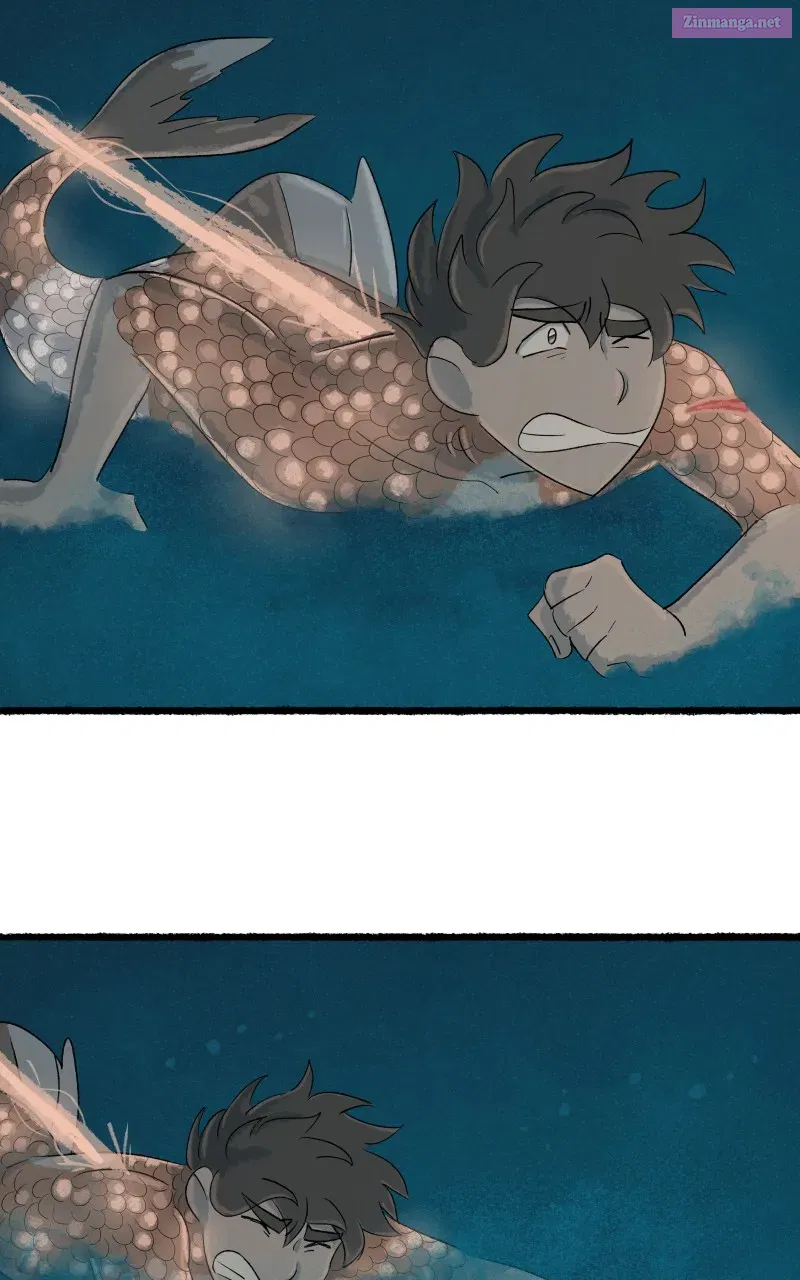 Read Castle Swimmer Manga Online