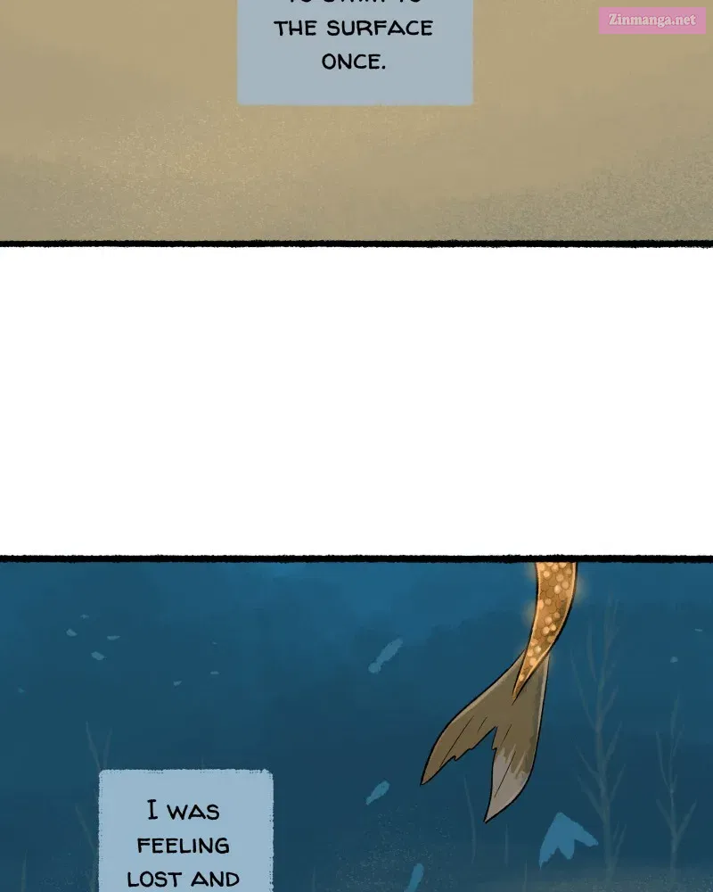 Read Castle Swimmer Manga Online