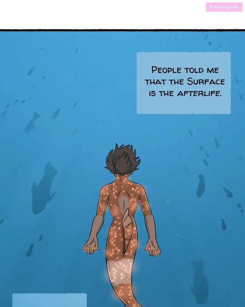Read Castle Swimmer Manga Online