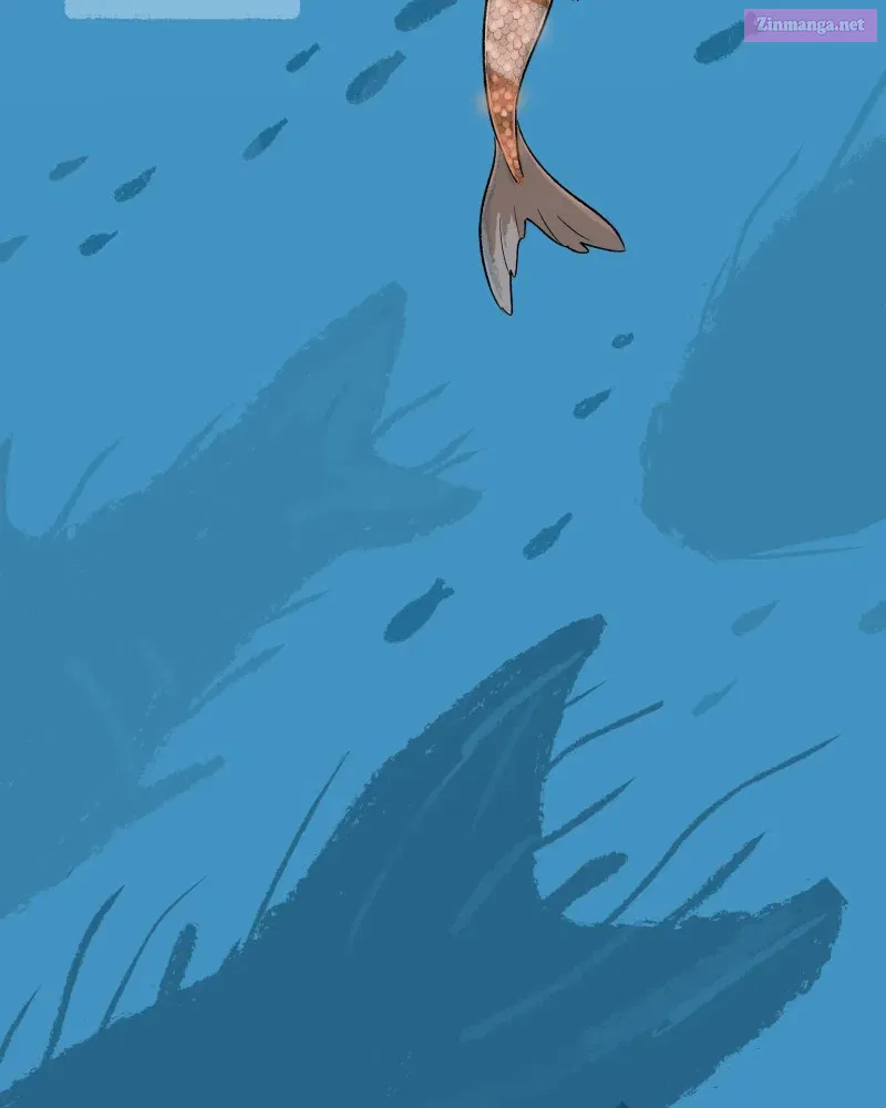 Read Castle Swimmer Manga Online