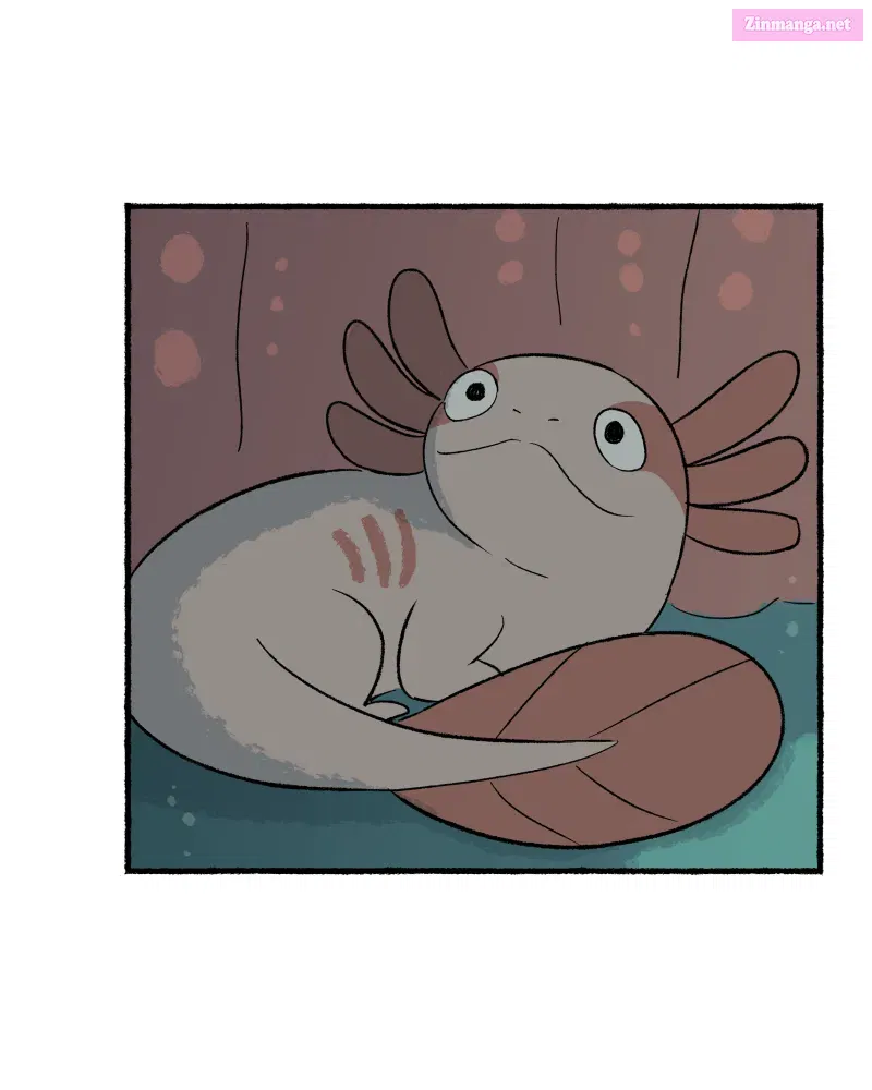 Read Castle Swimmer Manga Online