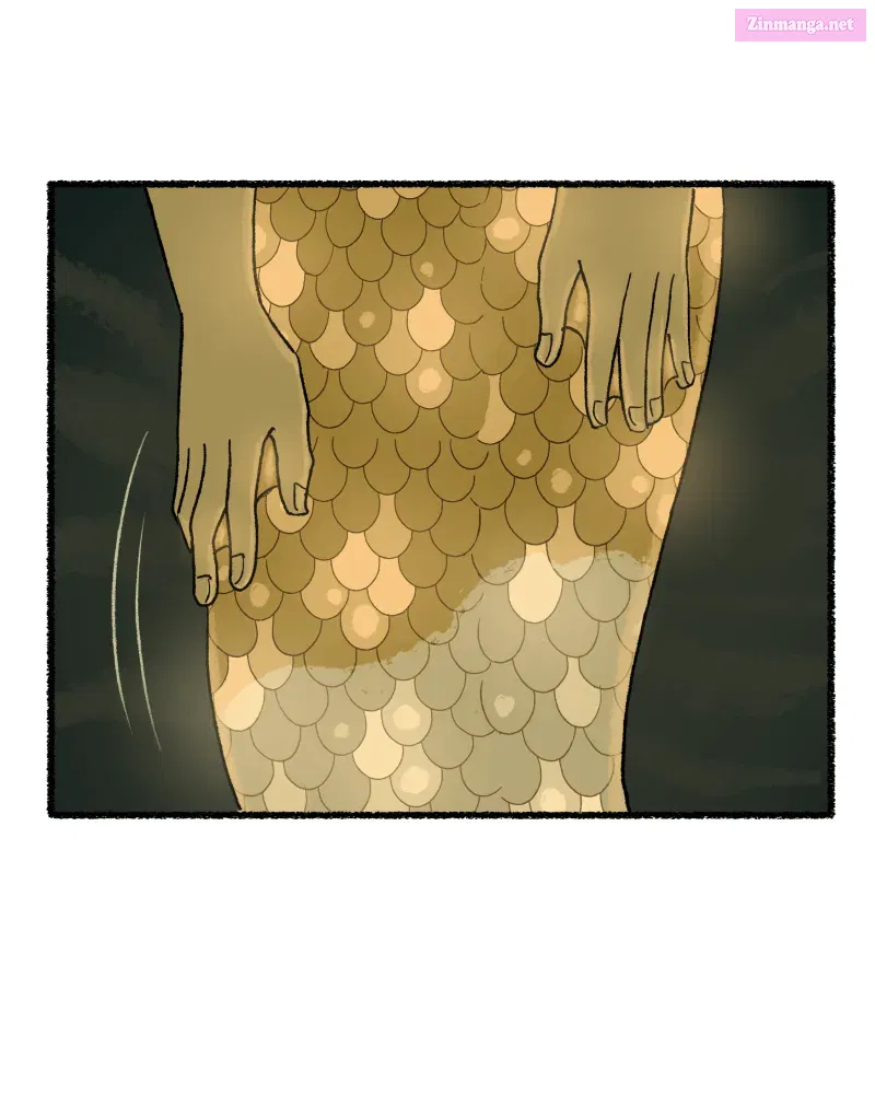 Read Castle Swimmer Manga Online