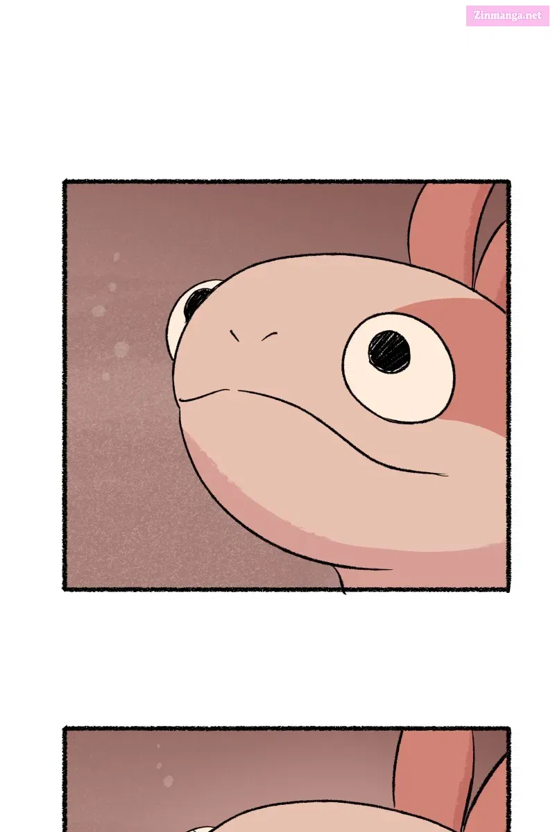 Read Castle Swimmer Manga Online