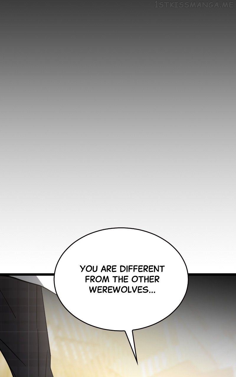 Read DARK MOON THE BLOOD ALTAR Manga Online