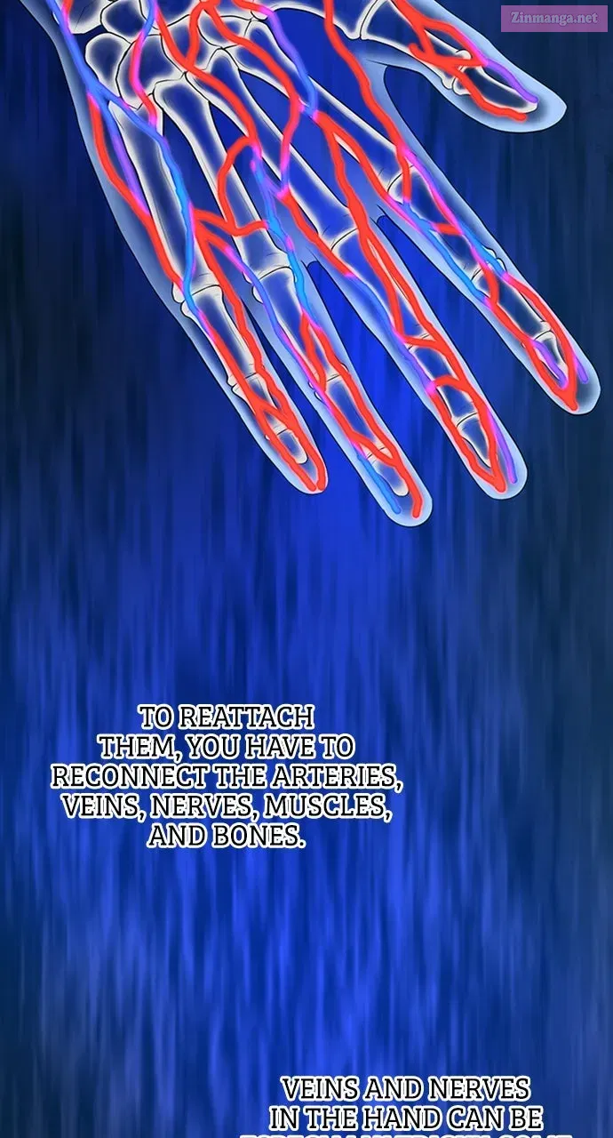 Read Doctor Quest Manga Online