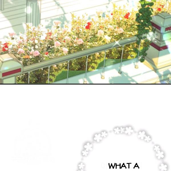 Read Father, I Don't Want this Marriage! Manga Online