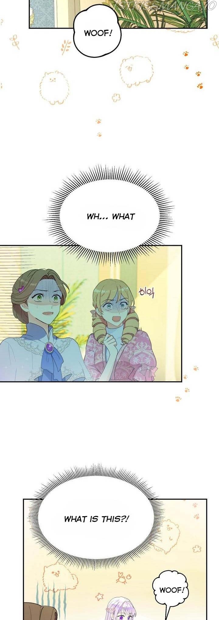 Read Forget My Husband, I’ll Go Make Money Manga Online