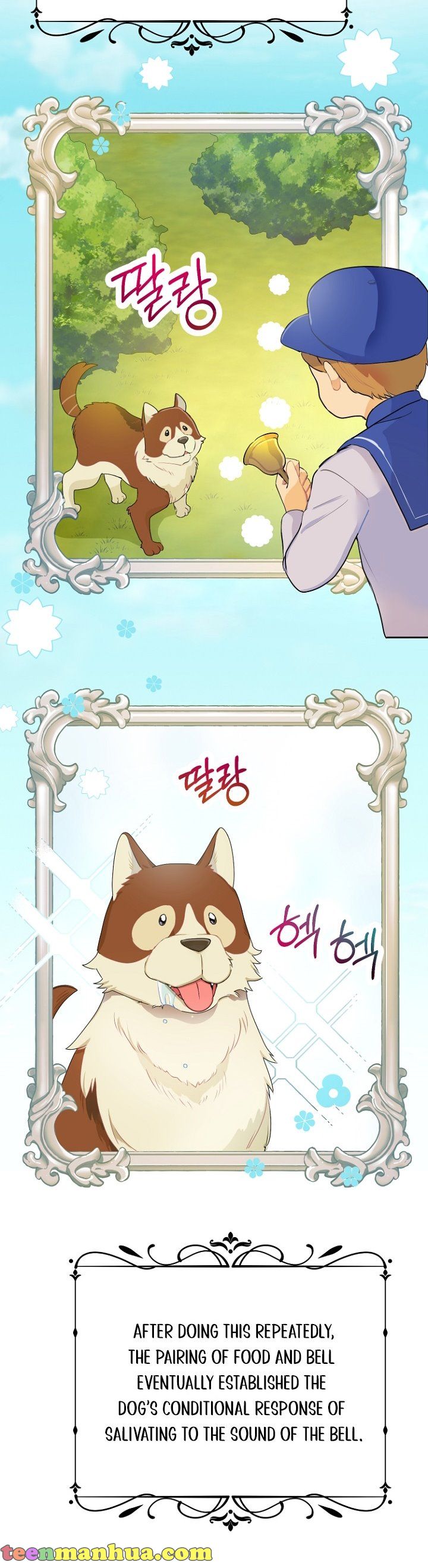 Read Forget My Husband, I’ll Go Make Money Manga Online