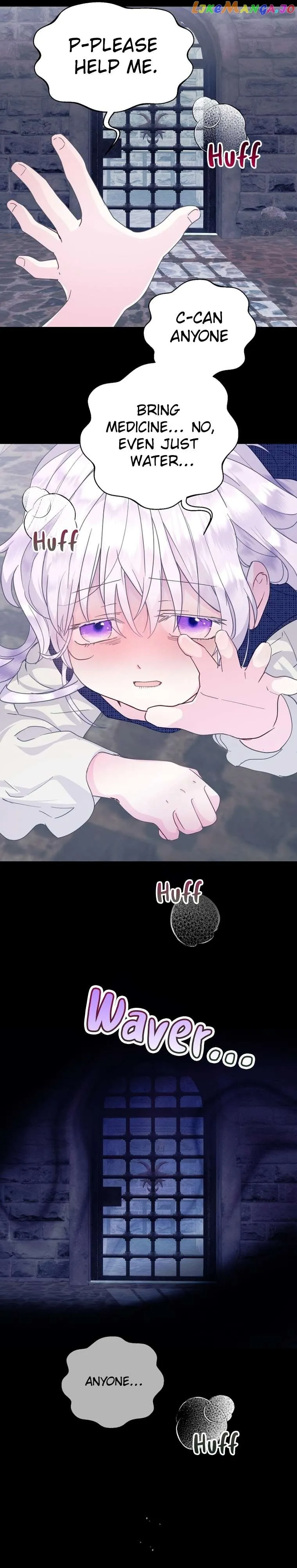 Read Forget My Husband, I’ll Go Make Money Manga Online