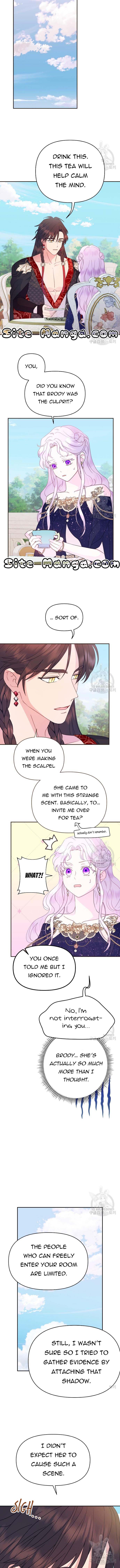 Read Forget My Husband, I’ll Go Make Money Manga Online