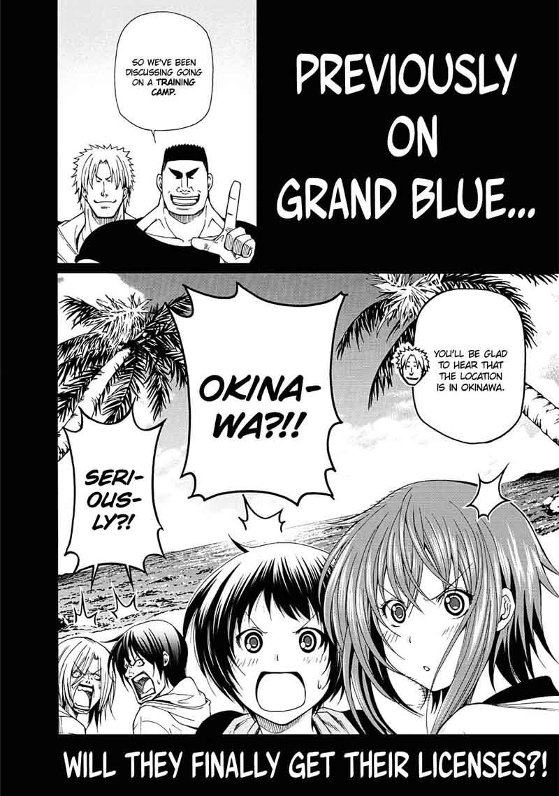 Read Grand Blue Manga Online
