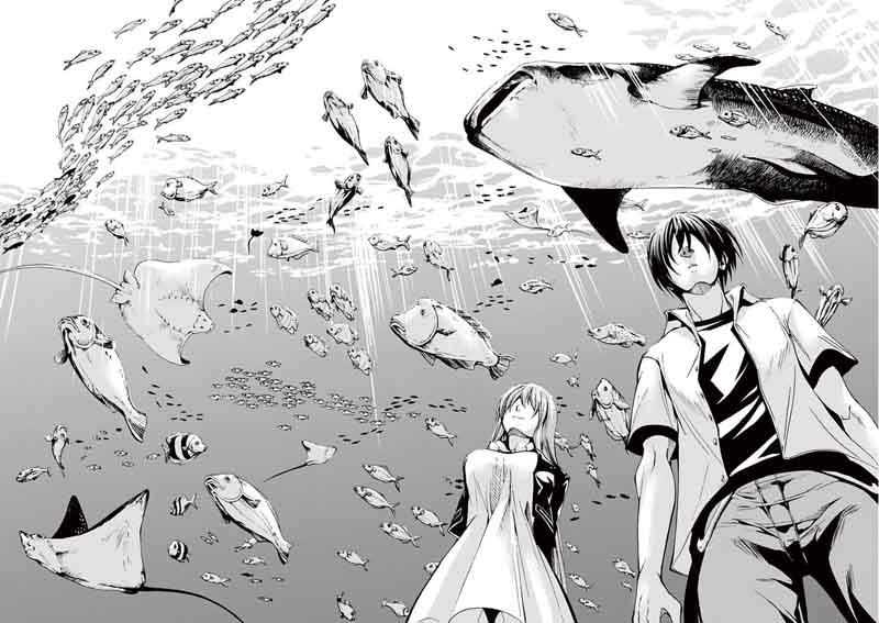 Read Grand Blue Manga Online