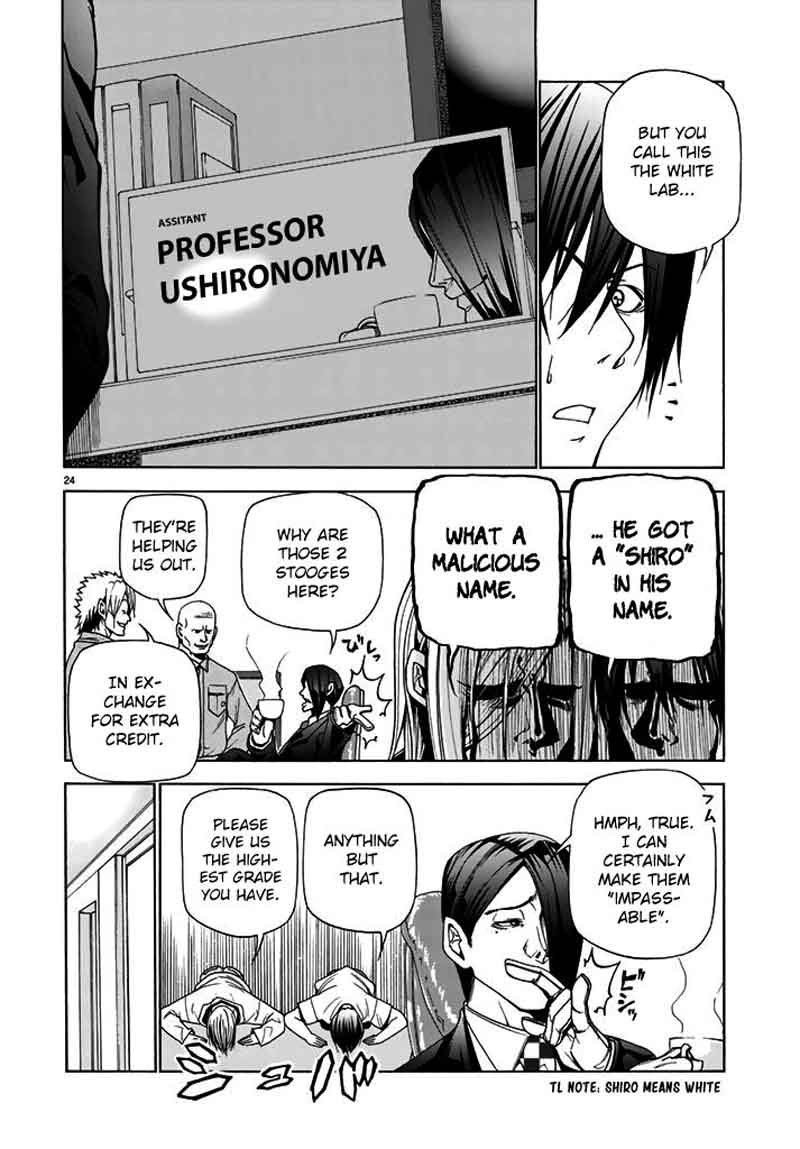 Read Grand Blue Manga Online