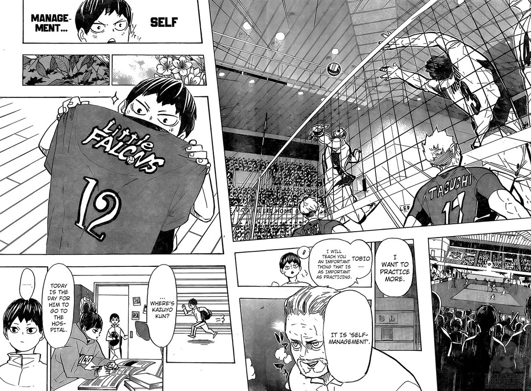 Read Haikyu!! Manga Online
