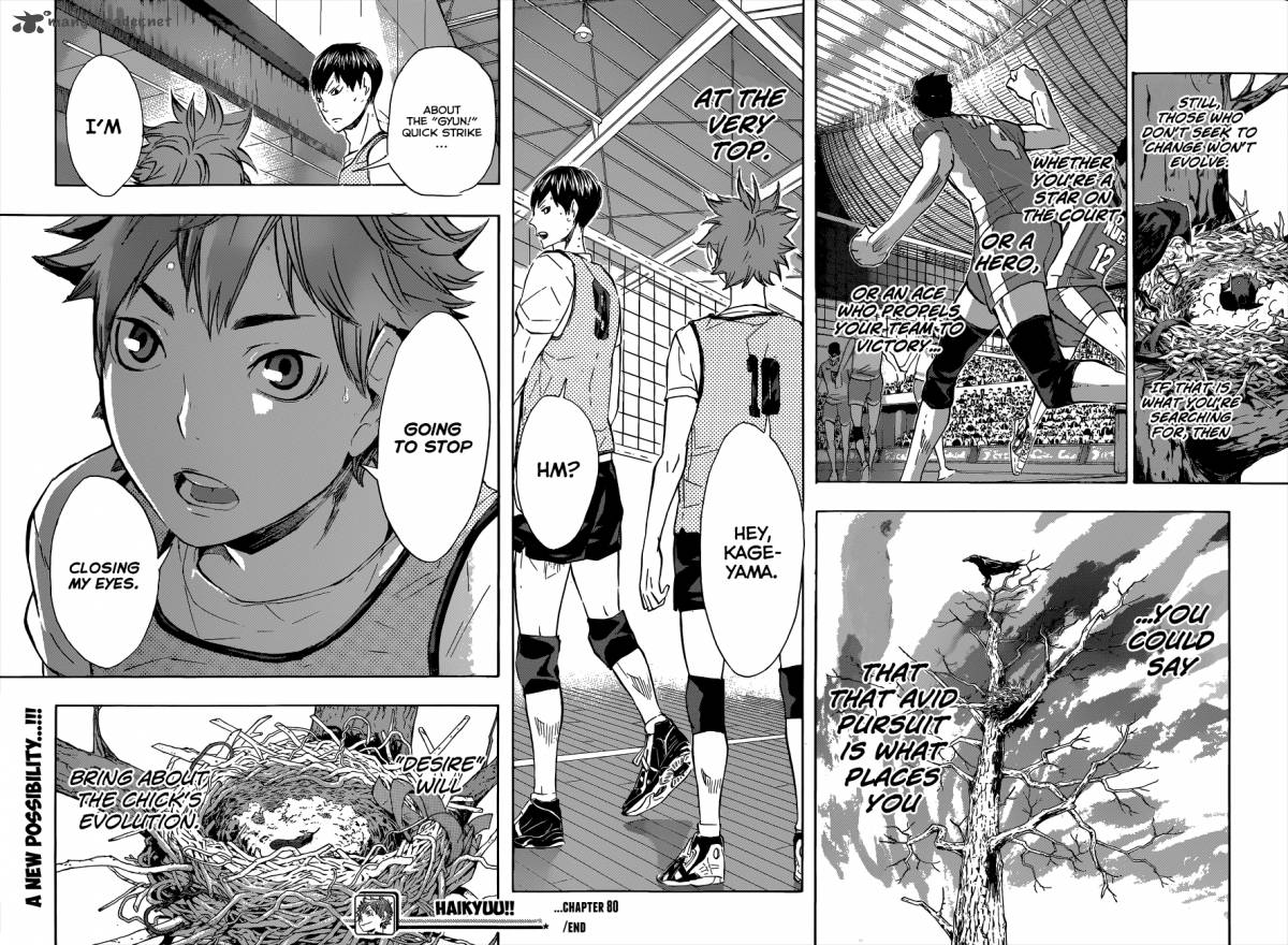 Read Haikyu!! Manga Online