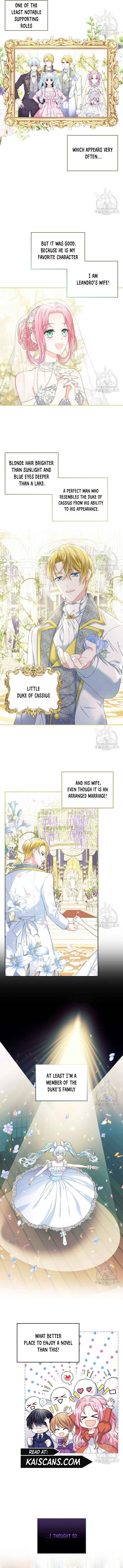 Read I Will Divorce the Female Lead’s Siscon Brother Manga Online