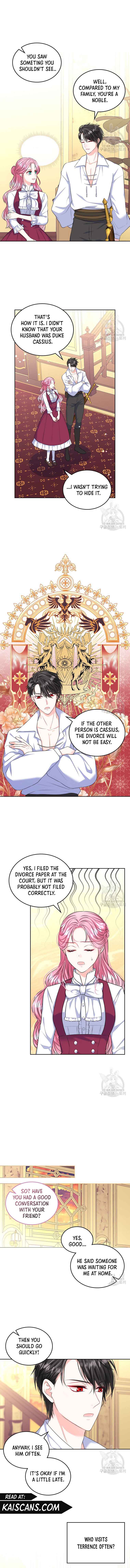 Read I Will Divorce the Female Lead’s Siscon Brother Manga Online