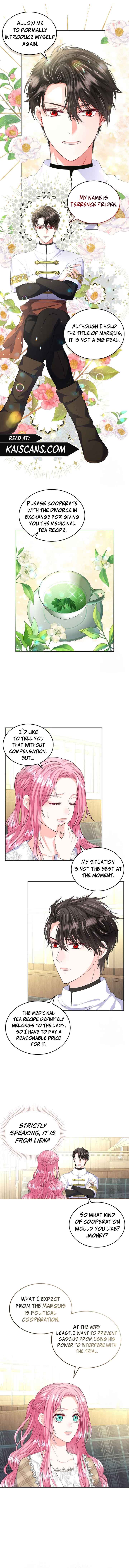 Read I Will Divorce the Female Lead’s Siscon Brother Manga Online