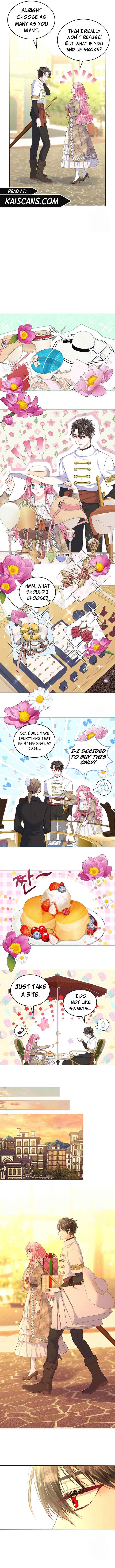 Read I Will Divorce the Female Lead’s Siscon Brother Manga Online