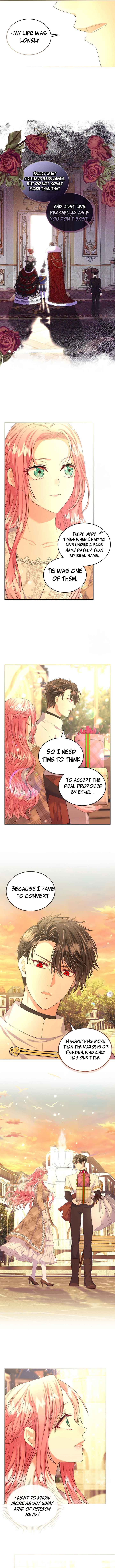 Read I Will Divorce the Female Lead’s Siscon Brother Manga Online