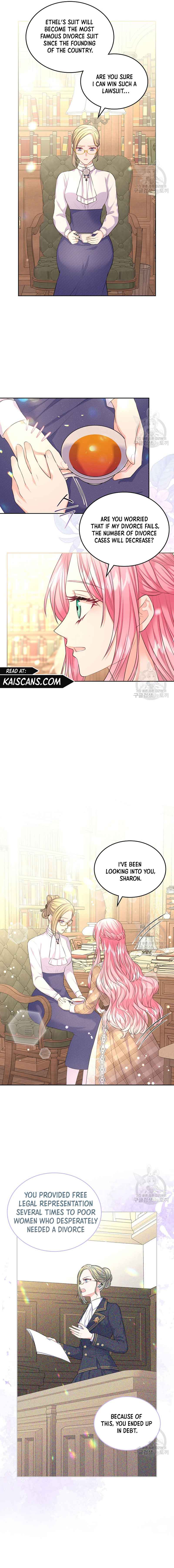 Read I Will Divorce the Female Lead’s Siscon Brother Manga Online
