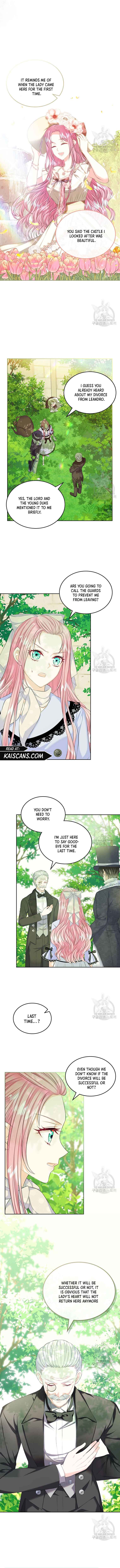 Read I Will Divorce the Female Lead’s Siscon Brother Manga Online