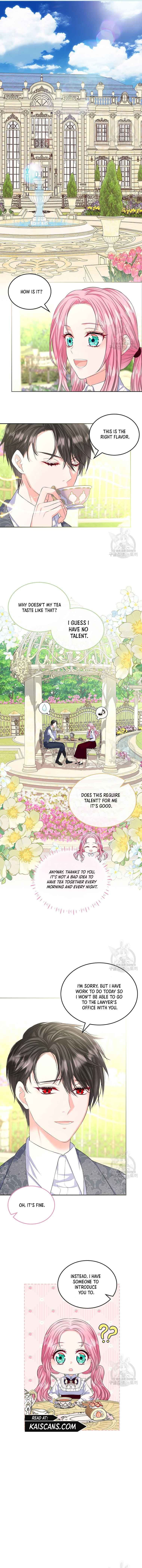 Read I Will Divorce the Female Lead’s Siscon Brother Manga Online