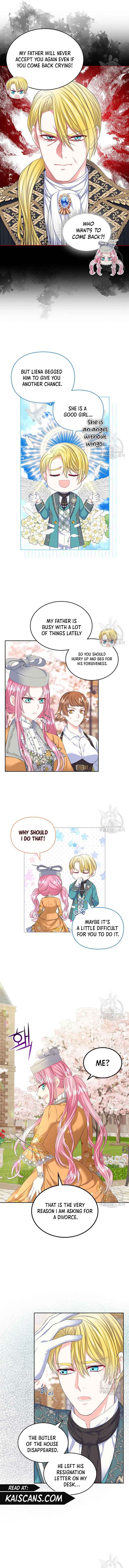 Read I Will Divorce the Female Lead’s Siscon Brother Manga Online