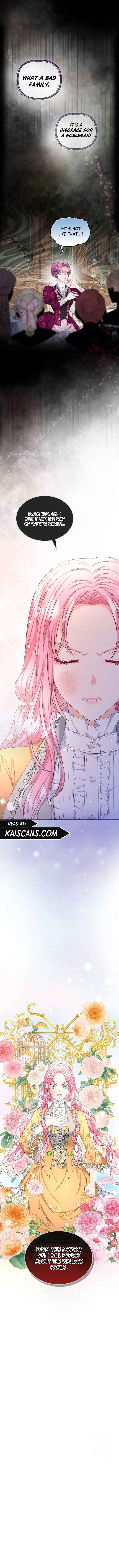 Read I Will Divorce the Female Lead’s Siscon Brother Manga Online