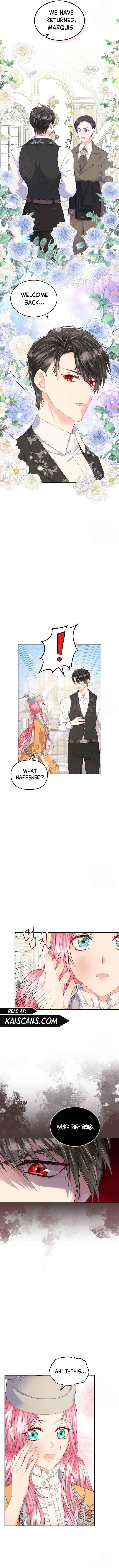 Read I Will Divorce the Female Lead’s Siscon Brother Manga Online