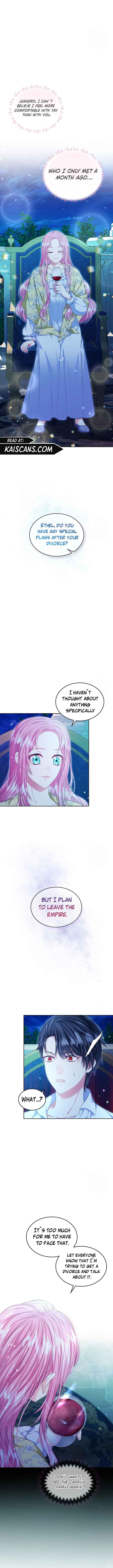 Read I Will Divorce the Female Lead’s Siscon Brother Manga Online