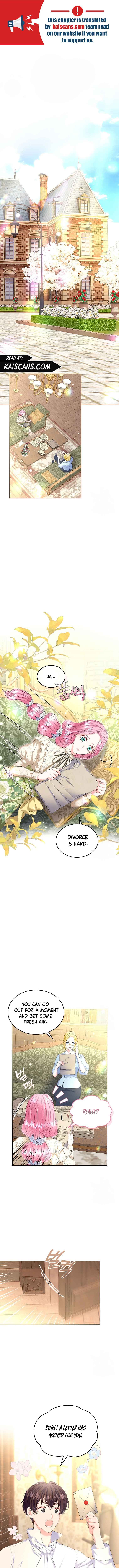 Read I Will Divorce the Female Lead’s Siscon Brother Manga Online