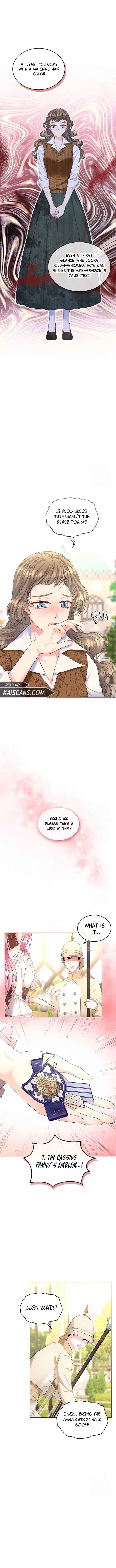 Read I Will Divorce the Female Lead’s Siscon Brother Manga Online
